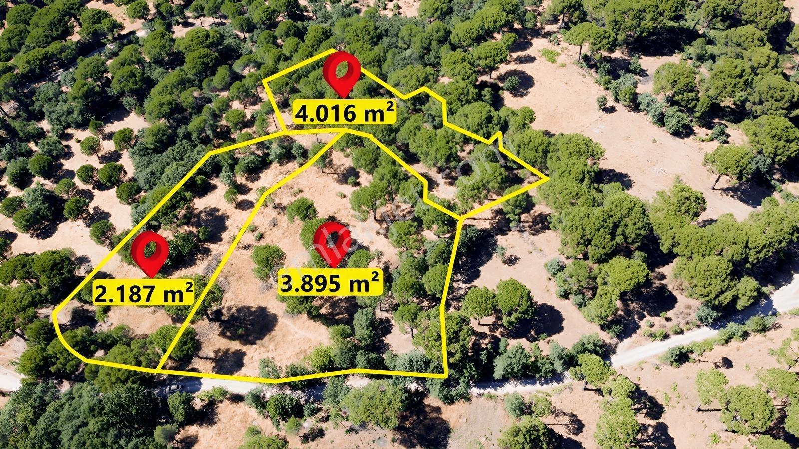 Pinus Gayrimenkul'den//kozak Yukarıbey'de 4.016 M² Müstakil Bağ - Görsel 3