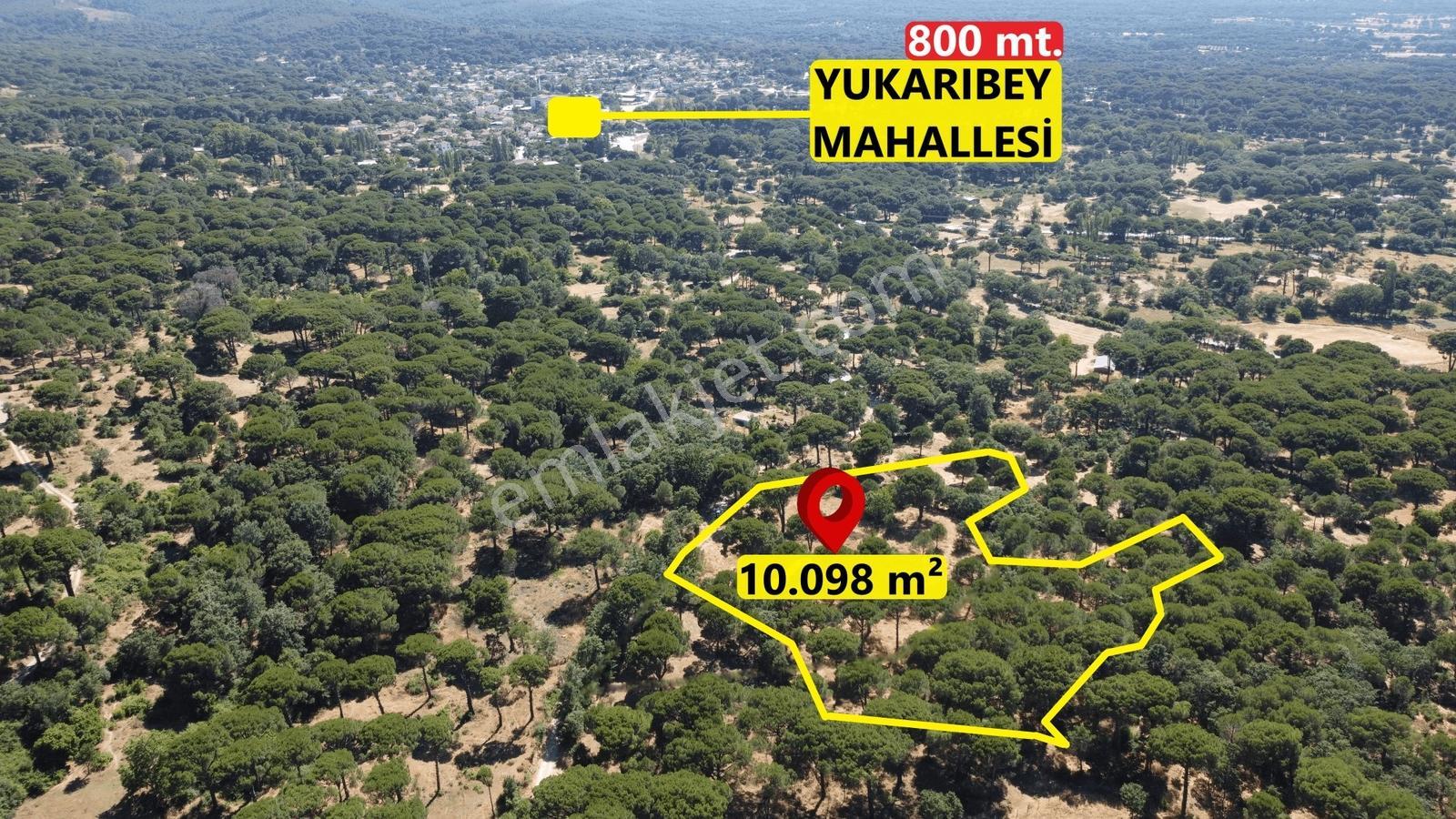 Pinus Gayrimenkul'den//kozak Yukarıbey'de 4.016 M² Müstakil Bağ - Görsel 4
