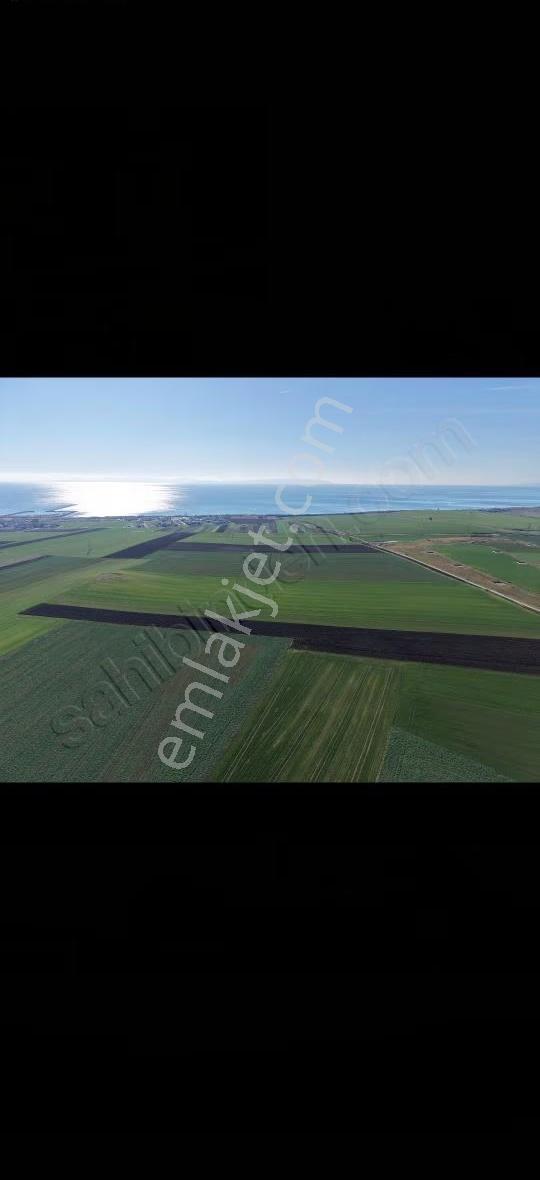 Tekirdağ Marmara Ereğlisi Çeşmeli Yatırımlık Kelepir Tarla - Görsel 9