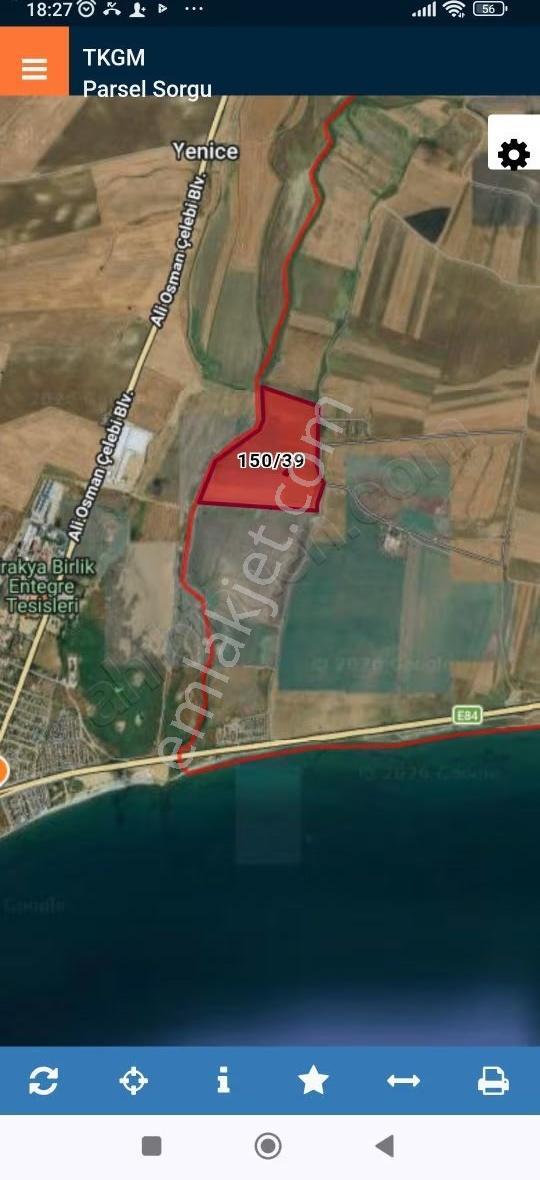 Tekirdağ Marmara Ereğlisi Çeşmeli Yatırımlık Kelepir Tarla - Görsel 4