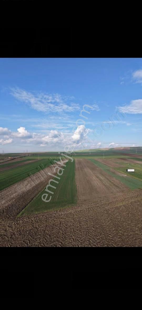 Tekirdağ Marmara Ereğlisi Çeşmeli 300 Metre Hoby Bahçesi