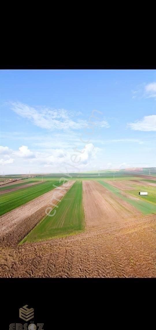 Tekirdağ Marmara Ereğlisi Çeşmeli Yatırımlık Arsa - Görsel 8
