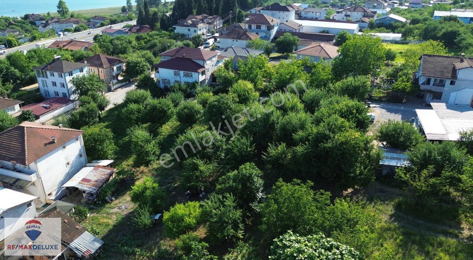 Sapanca Gölü'ne Yürüme Mesafesinde 1.905 M² İmarlı Arsa - Görsel 2