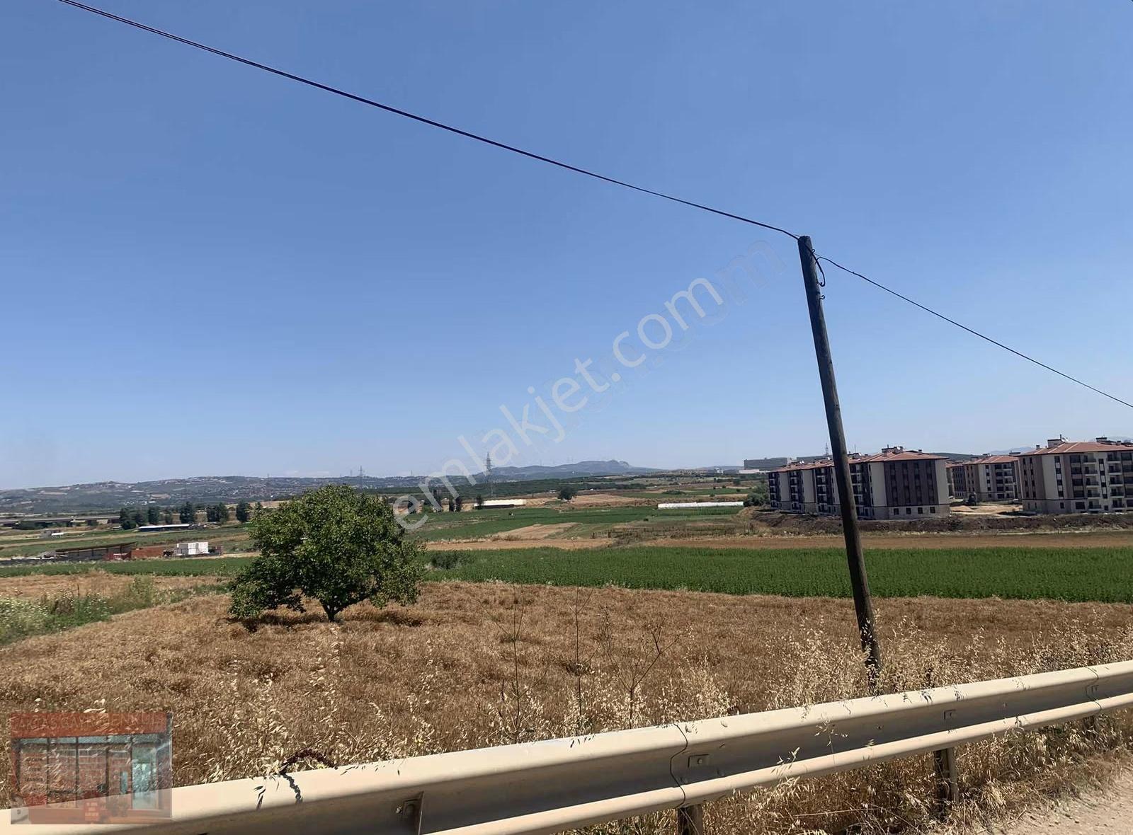 Bursa Nilüfer Yolçatı Satılık Tarla - Görsel 8