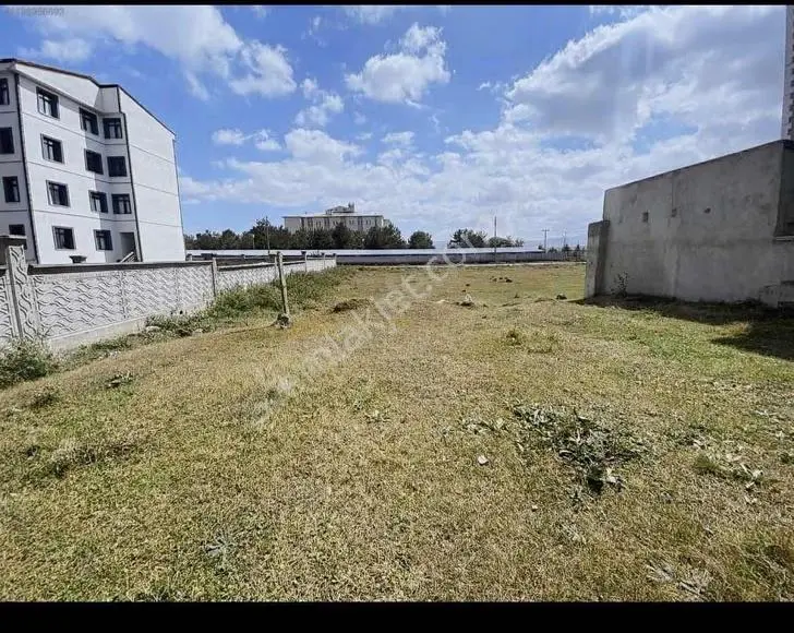 Şeyma Emlaktan Kiralık Alpaslan Mahalesinde 3+1müstakil Ev - Görsel 18