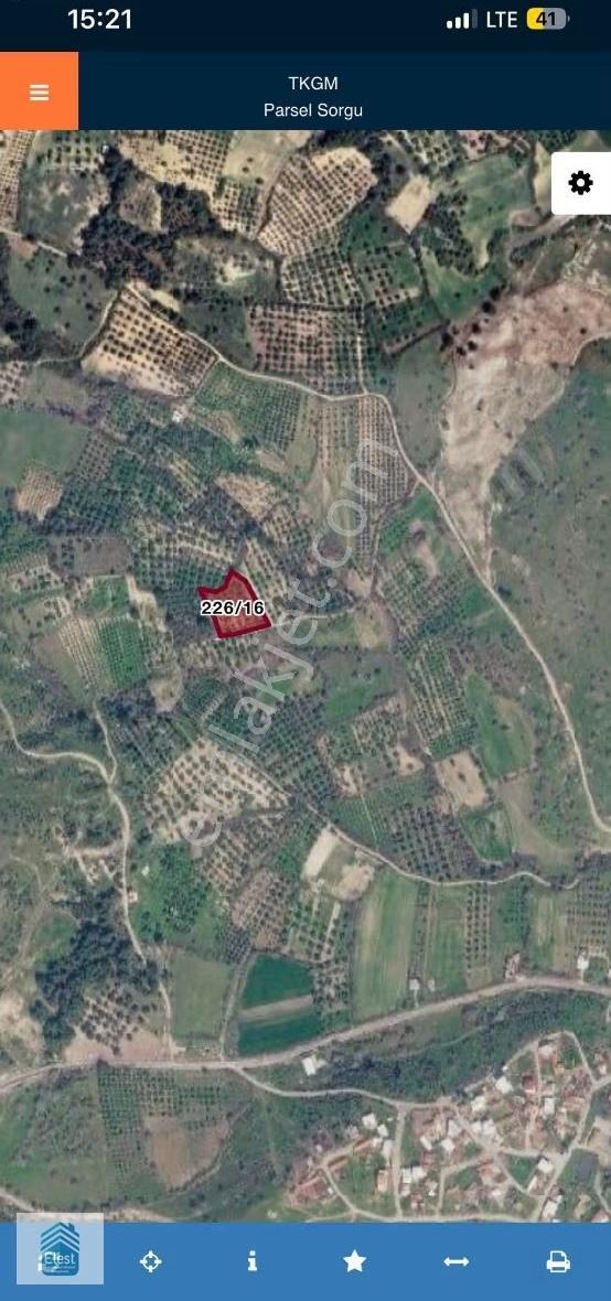 Yatırımlık Zeytinlik Yağcılar Köyü. - Görsel 4
