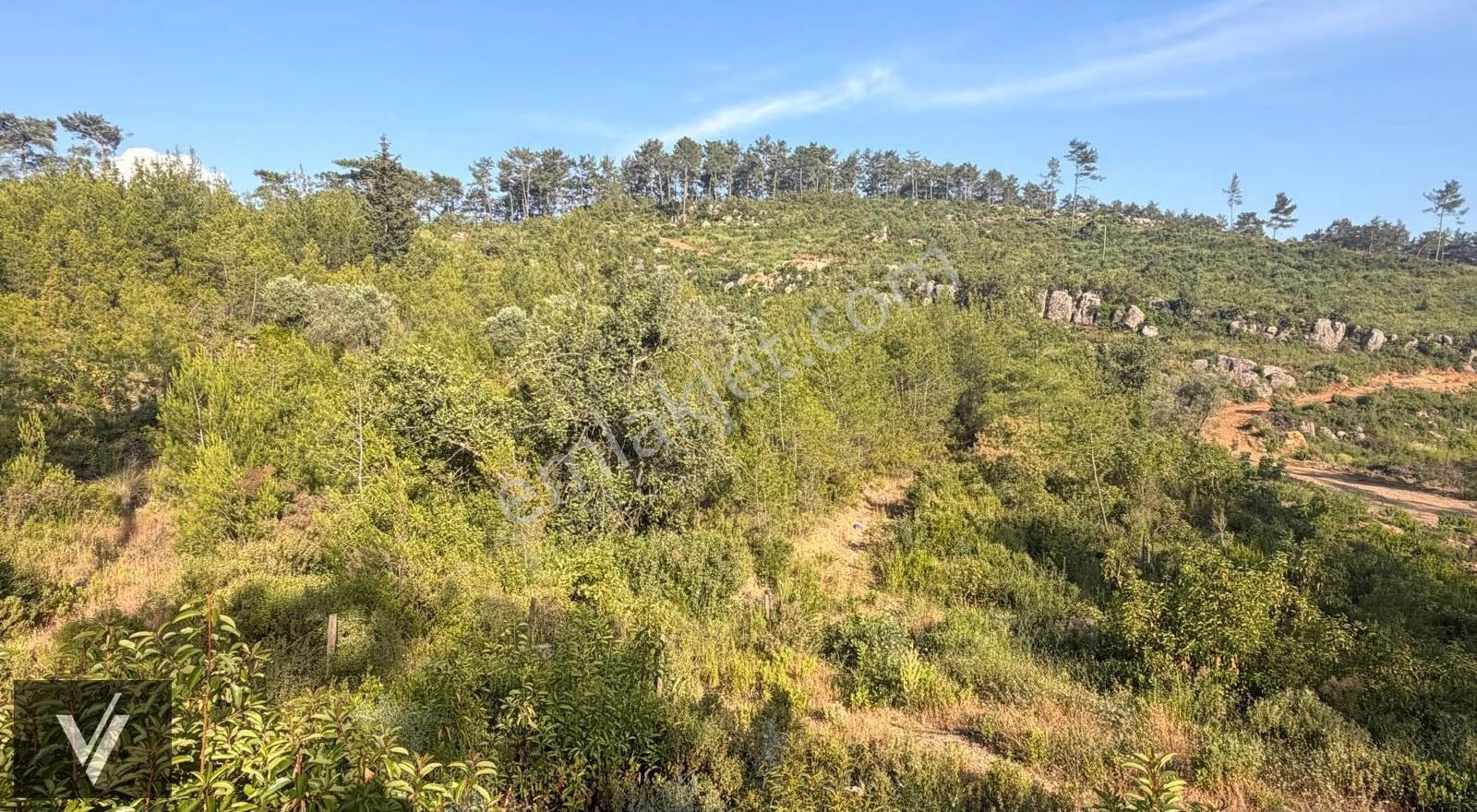 - Valden - Alanya Saburlar 4.899 M² Tek Tapu Yatırımlık Fırsat - Görsel 3