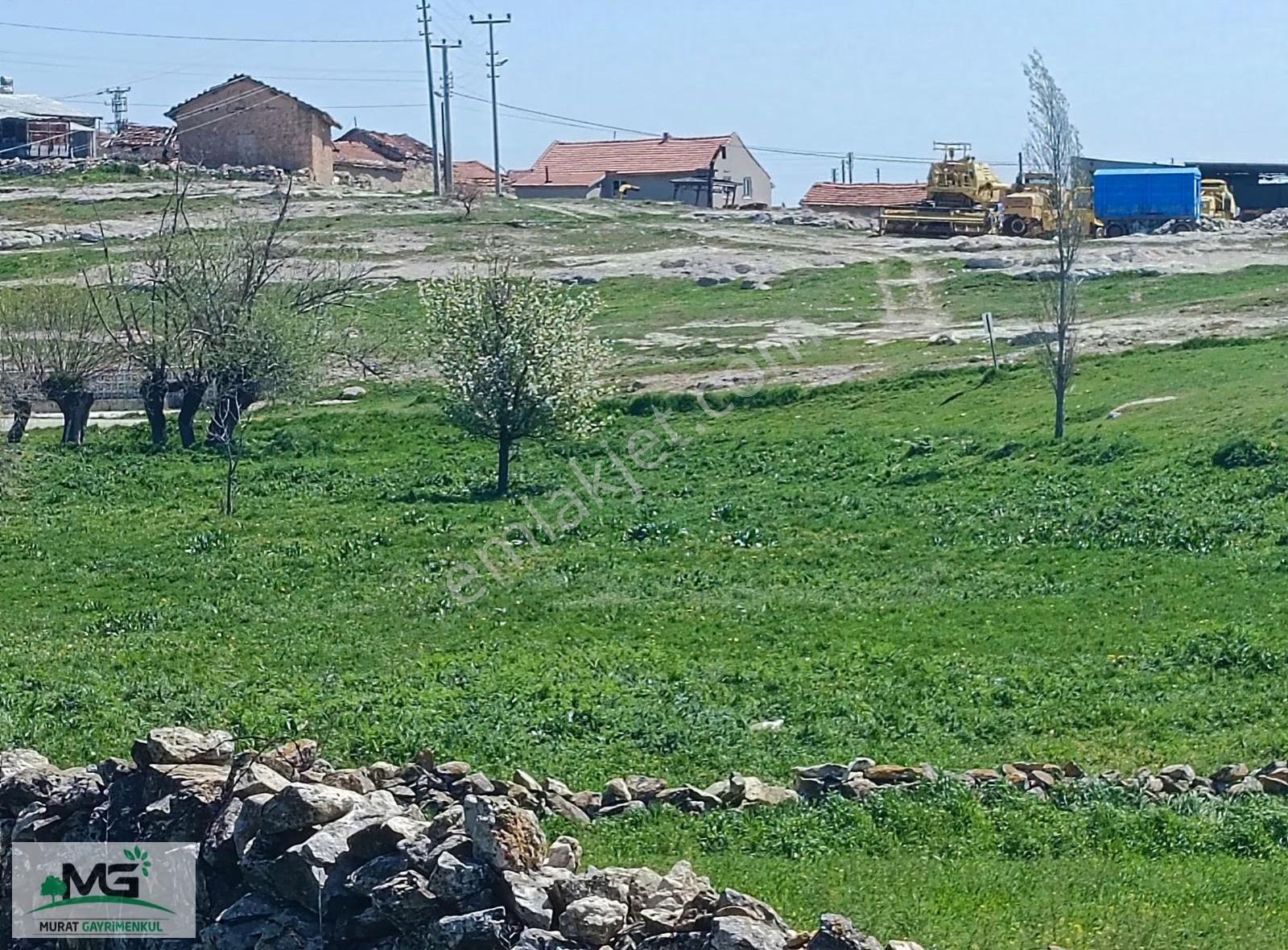 Kütahya Altıntaş Sevdiğin Fırsat Arazi - Görsel 2