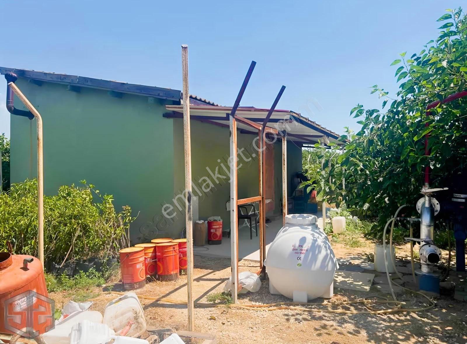 İzmir Selçukta Kadastral Yola Cephe 42.000 M² Mandalina Bahçesi - Görsel 20