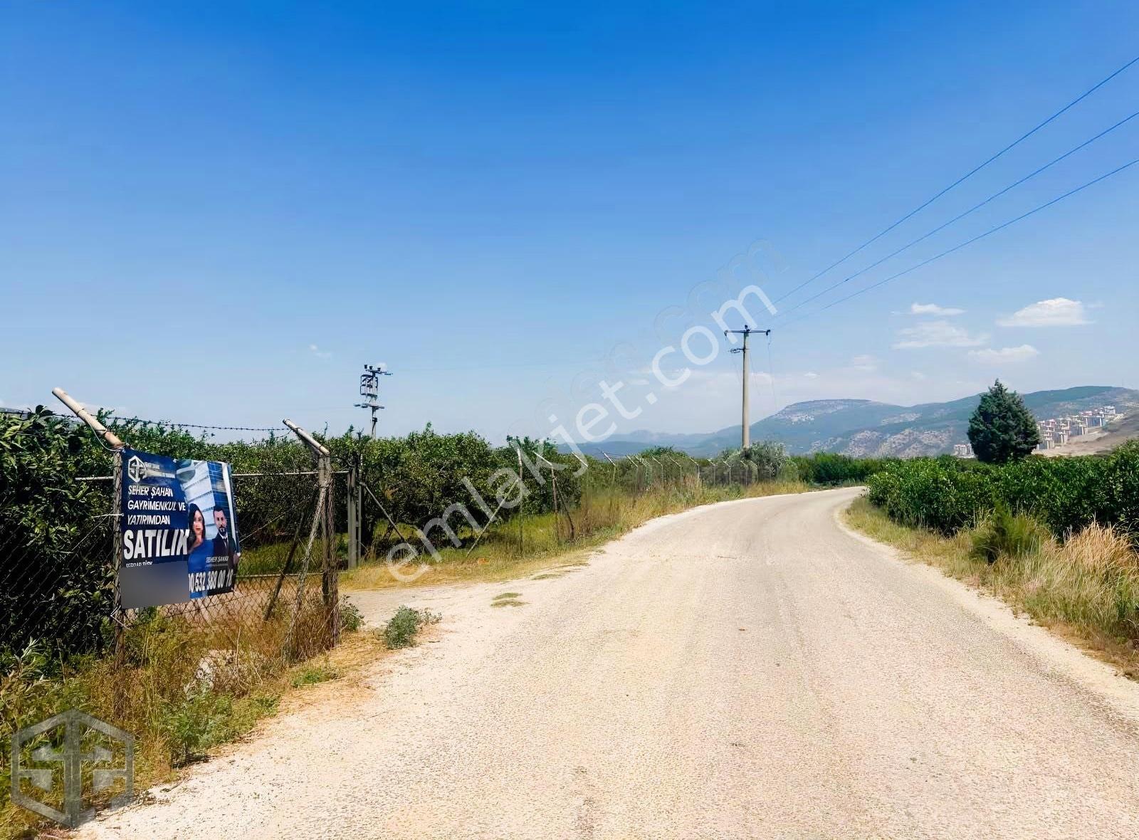 İzmir Selçukta Kadastral Yola Cephe 42.000 M² Mandalina Bahçesi - Görsel 12