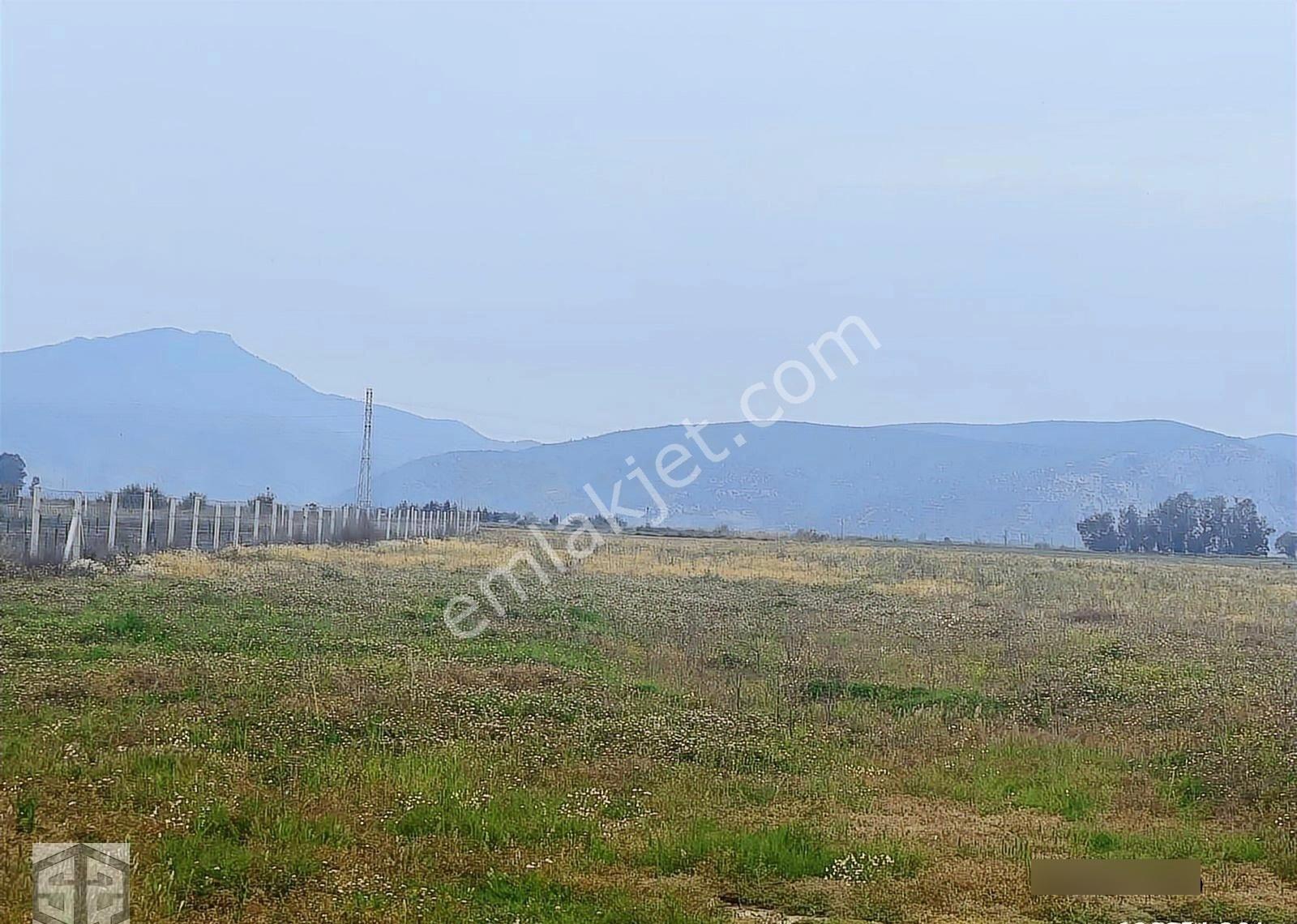 İzmir Selçuk Atatürk Mh 7.123m2 Boş Tarla - Görsel 9