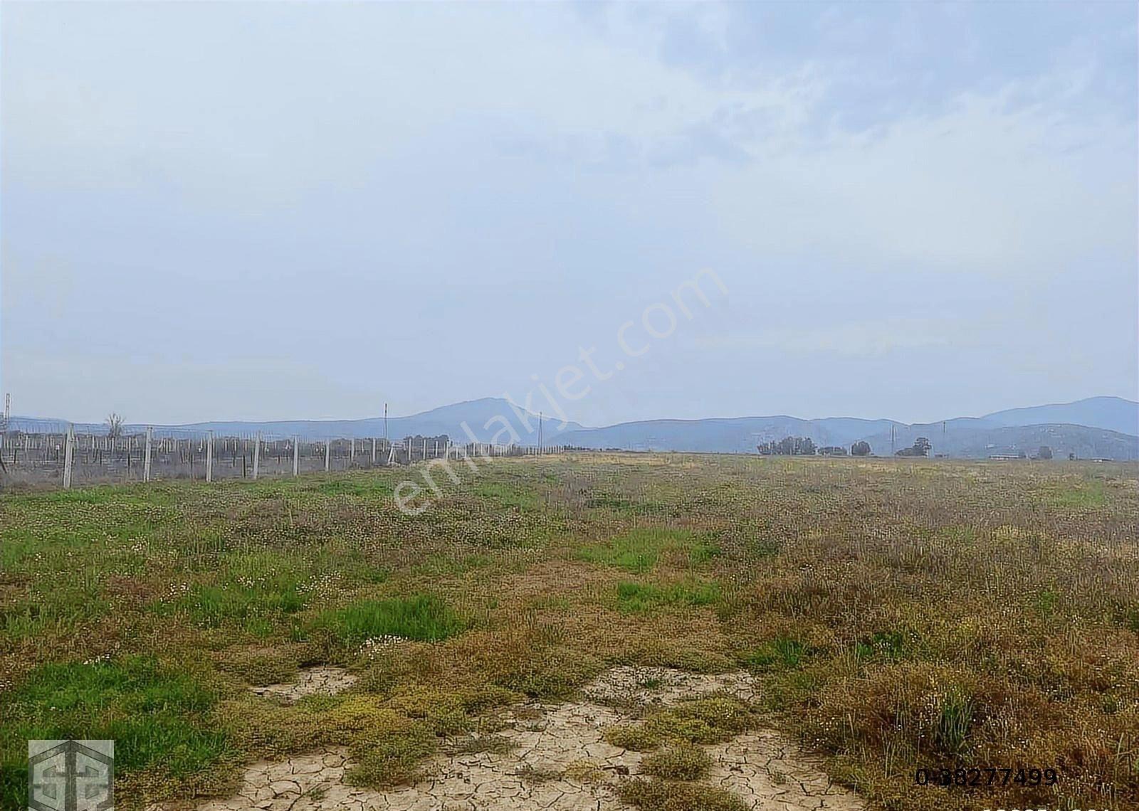 İzmir Selçuk Atatürk Mh 7.123m2 Boş Tarla - Görsel 5