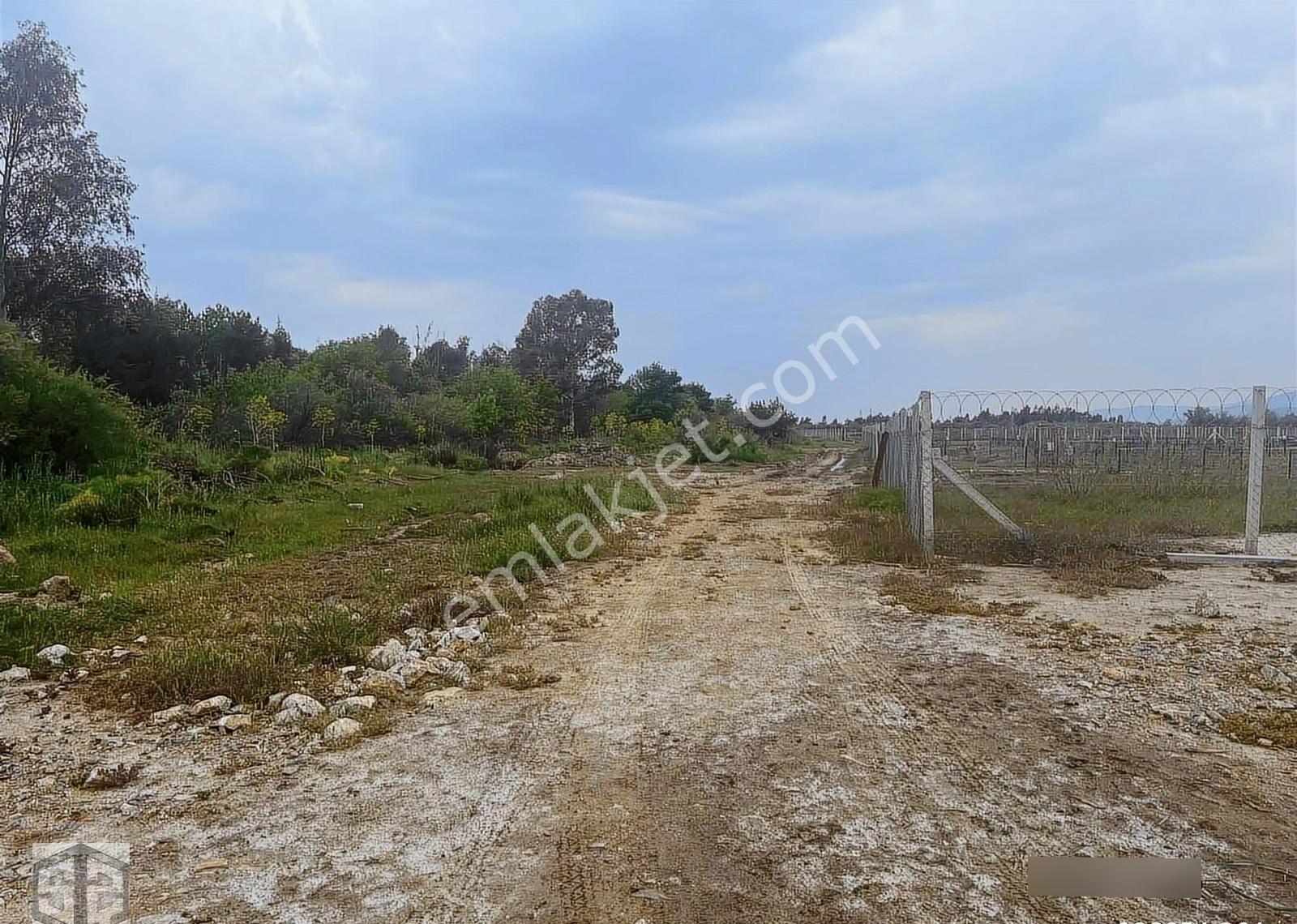 İzmir Selçuk Atatürk Mh 7.123m2 Boş Tarla - Görsel 6