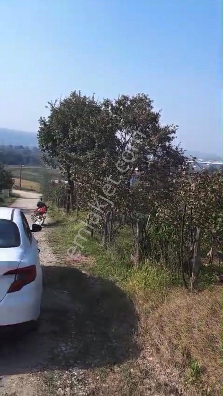 Kuzulukta İmar Bitişiğinde Satılık Bahçe - Görsel 3