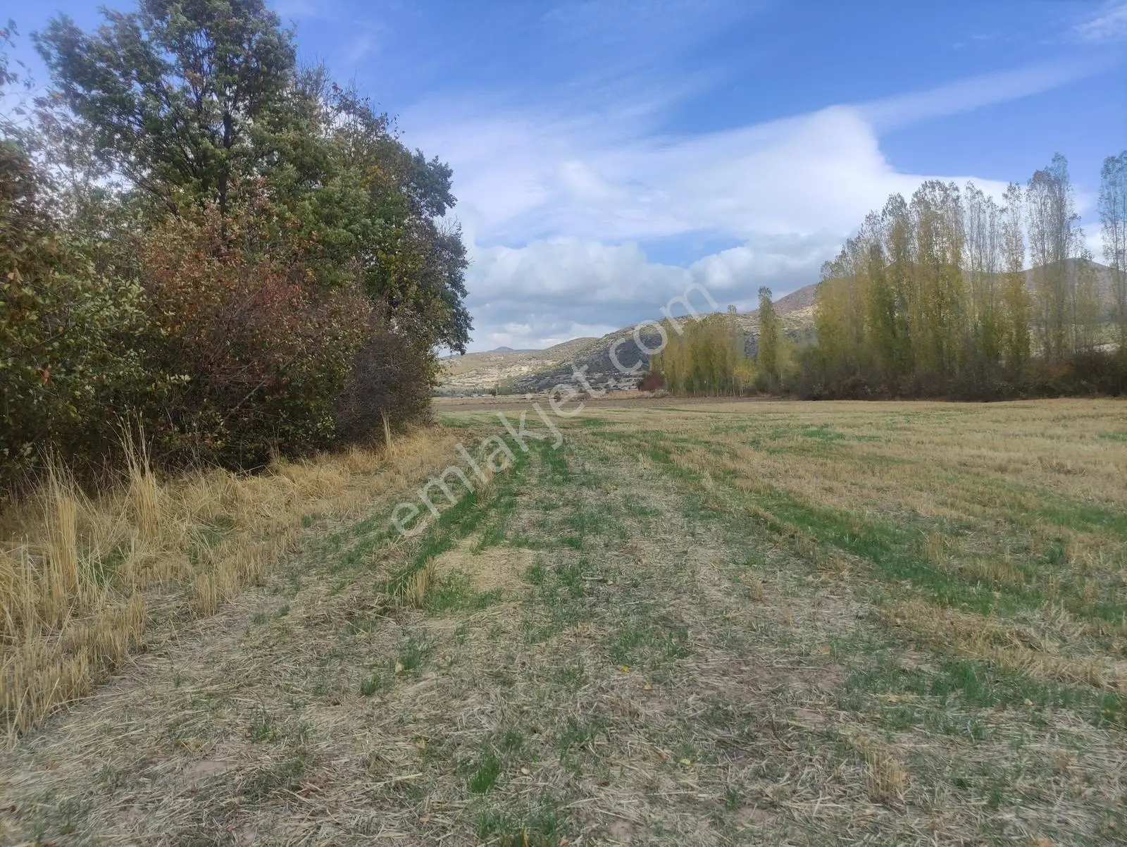 Özpınar,dan Konya Yoluna 1 Km Yolu,suyu Olan Bahçe 1936 M2 Tekke