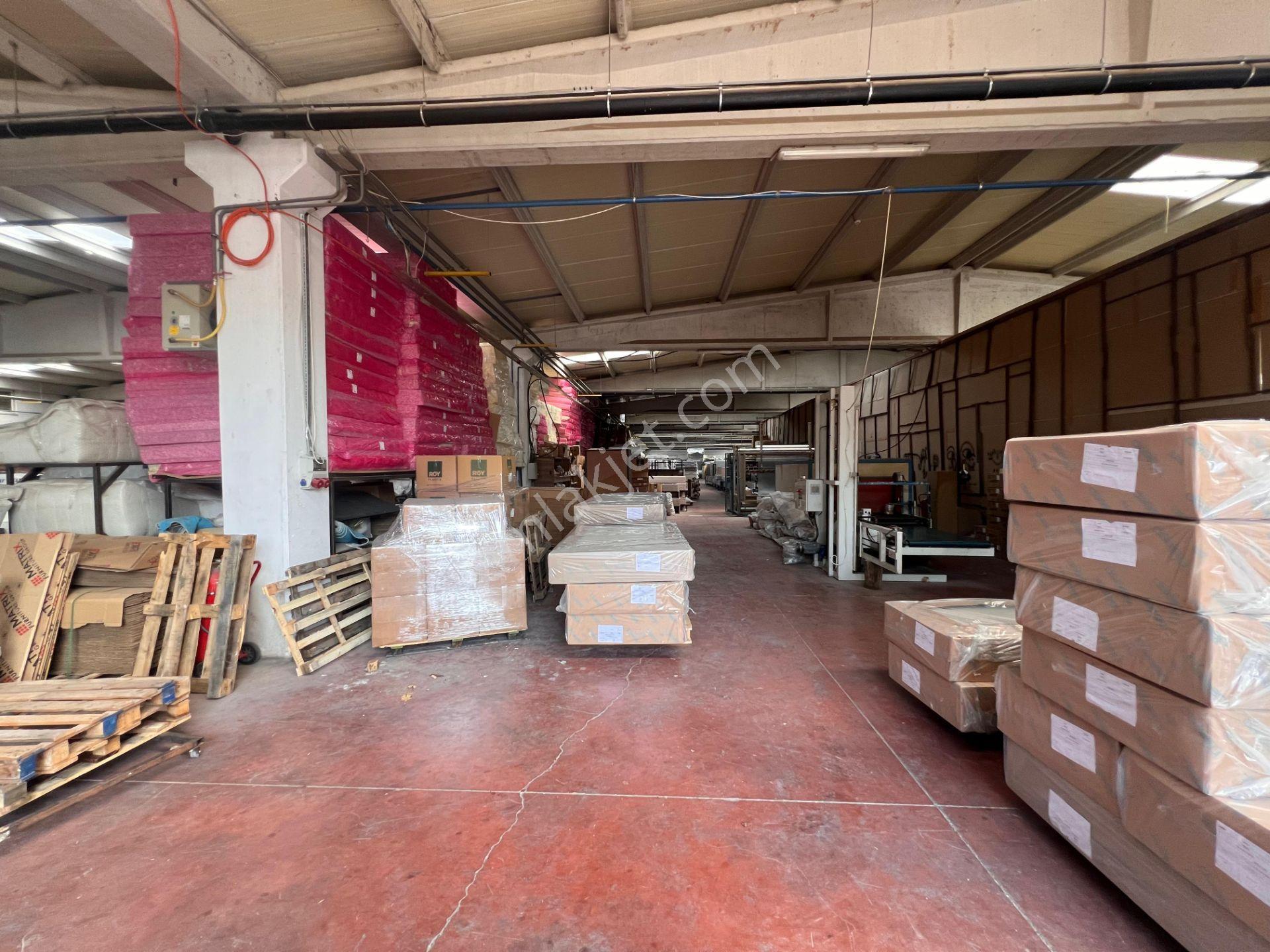 Roma' Dan Hamzabey Osb De Kiralık Fabrika - Görsel 4