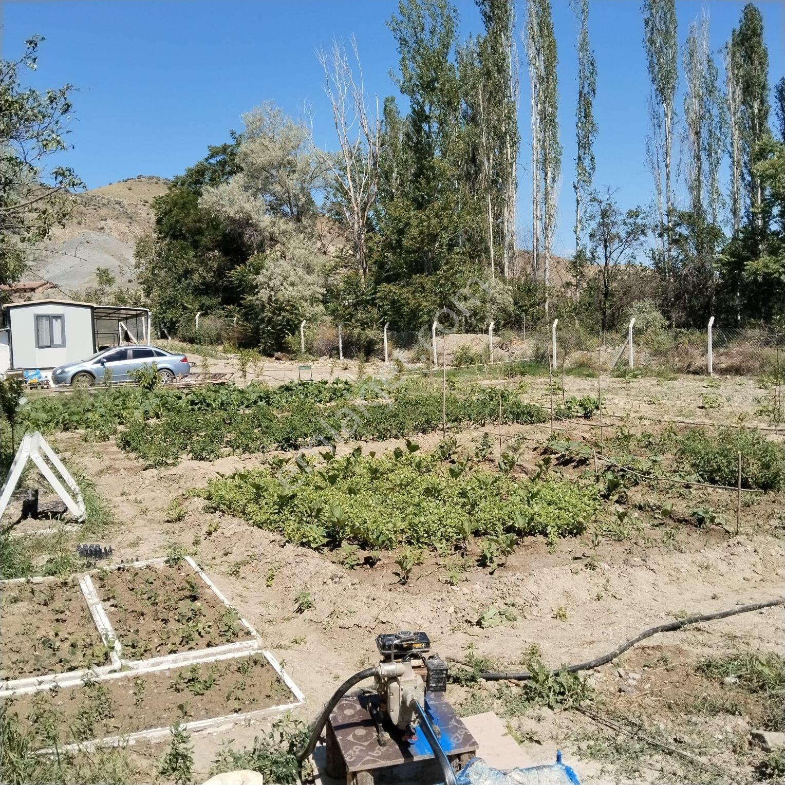 1115 Metrekare Bağ Tapulu Bahçe - Görsel 10