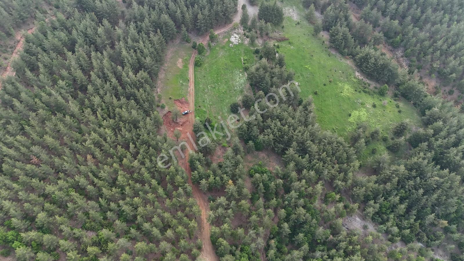 Bolkardan Güzelyayla Mahallesinde Fırsat 2 Tapulu Özel Arazi - Görsel 9