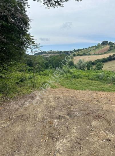 Sinop Merkez Osmaniye Deniz Manzaralı Tek Tapu Arsa - Görsel 18