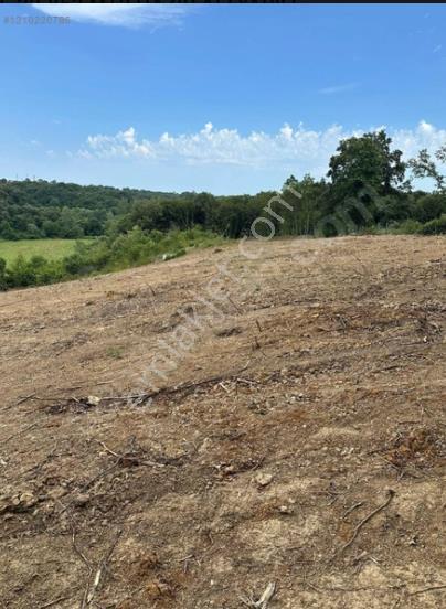 Sinop Merkez Osmaniye Deniz Manzaralı Tek Tapu Arsa - Görsel 17
