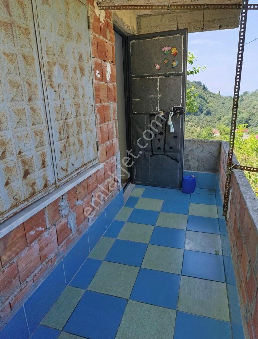 Lerox Uçar’dan Ordu İkizce’de Tek Katlı Bağ Evi Ve Arsası - Görsel 4