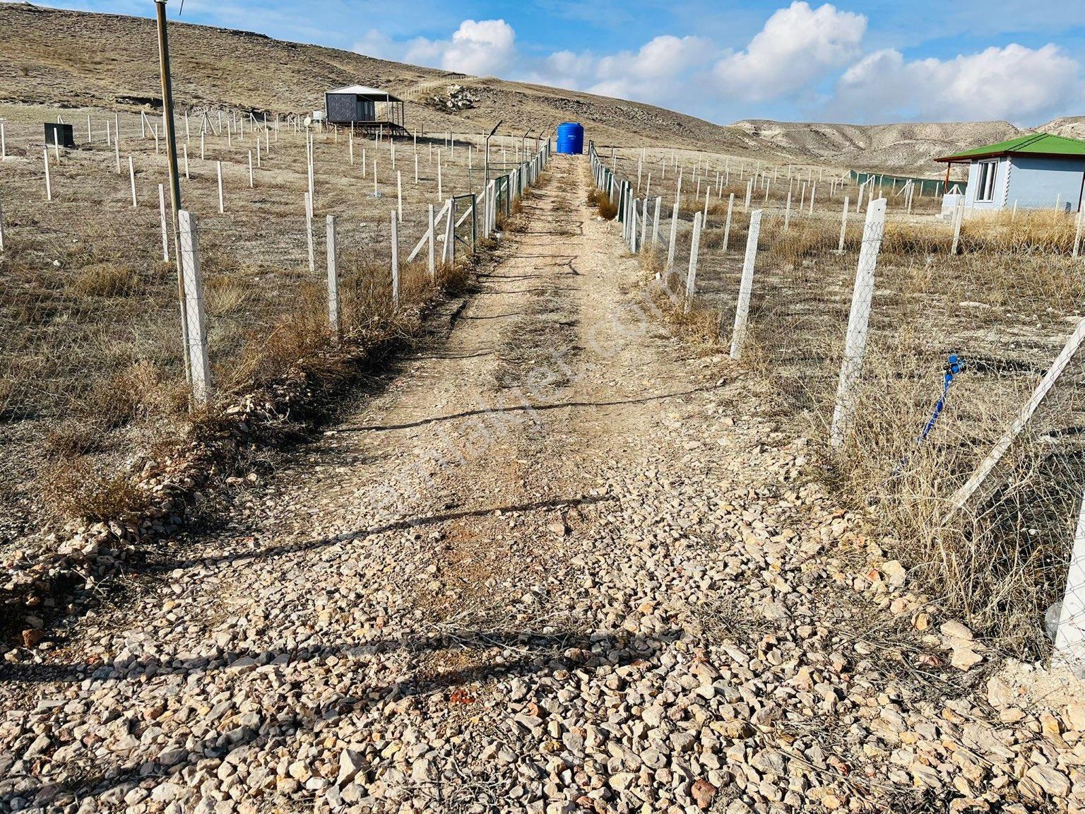 Ayaş Tekke’de Resmi Mahalle İçinde İmarlı Arsa - Görsel 9