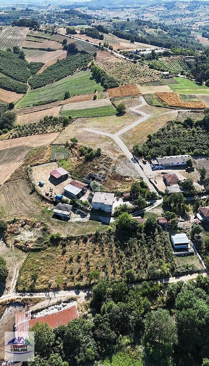 Gölce Mahallesinde %40 2 Kat İmarlı Satılık 3 Adet Müstakil Arsa - Görsel 8