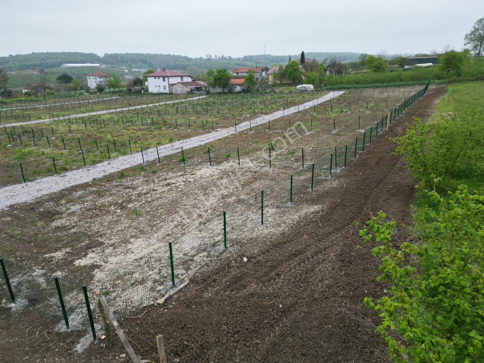 İşaret Mahallesinde Köşe Konumda 390 M2 Satılık İmarlı Arsa - Görsel 11