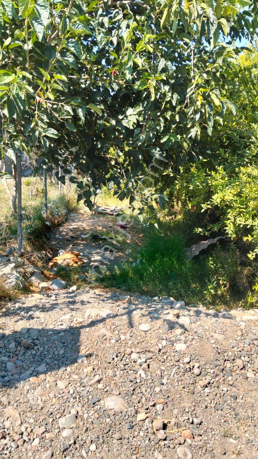 Dalyanda Satılık 500 M2