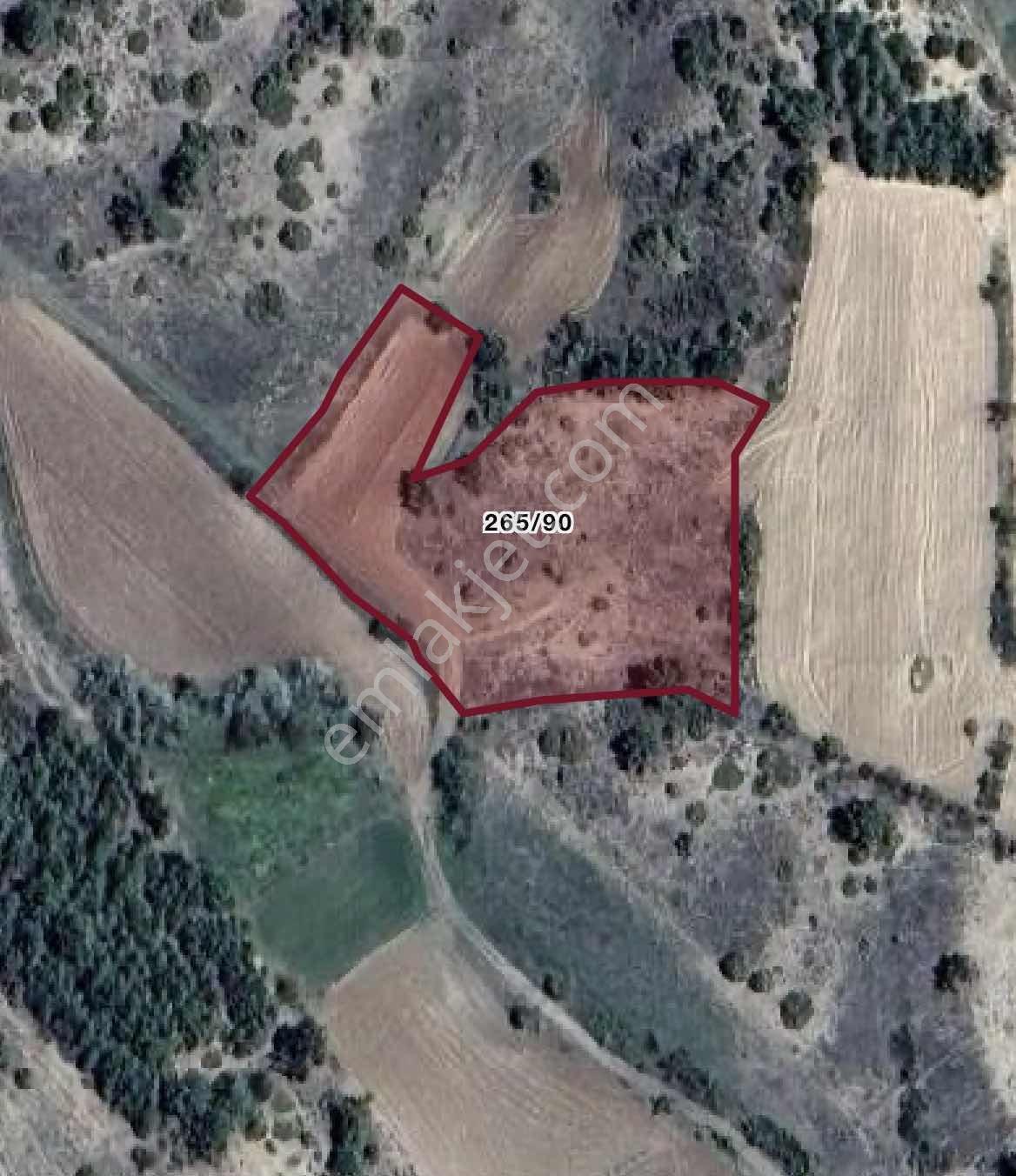 Yatırımlüx'ten Bozkurt İlçesinde 4,231 M2 Tarla - Görsel 2