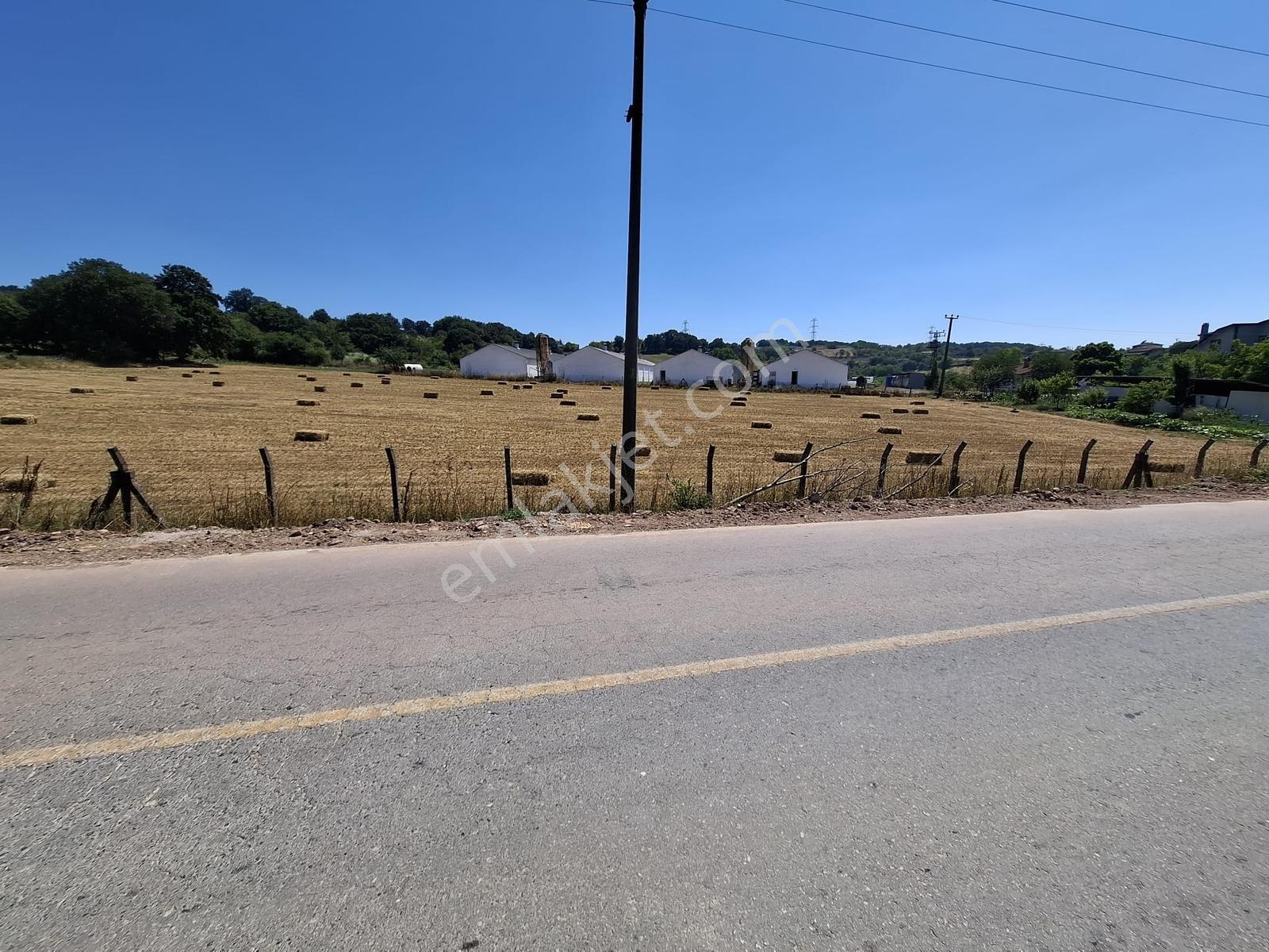 Asfalt Kenarında Mükemmel Bir Konum ! Sarıbeylide 6.063 M2 Tarla - Görsel 6