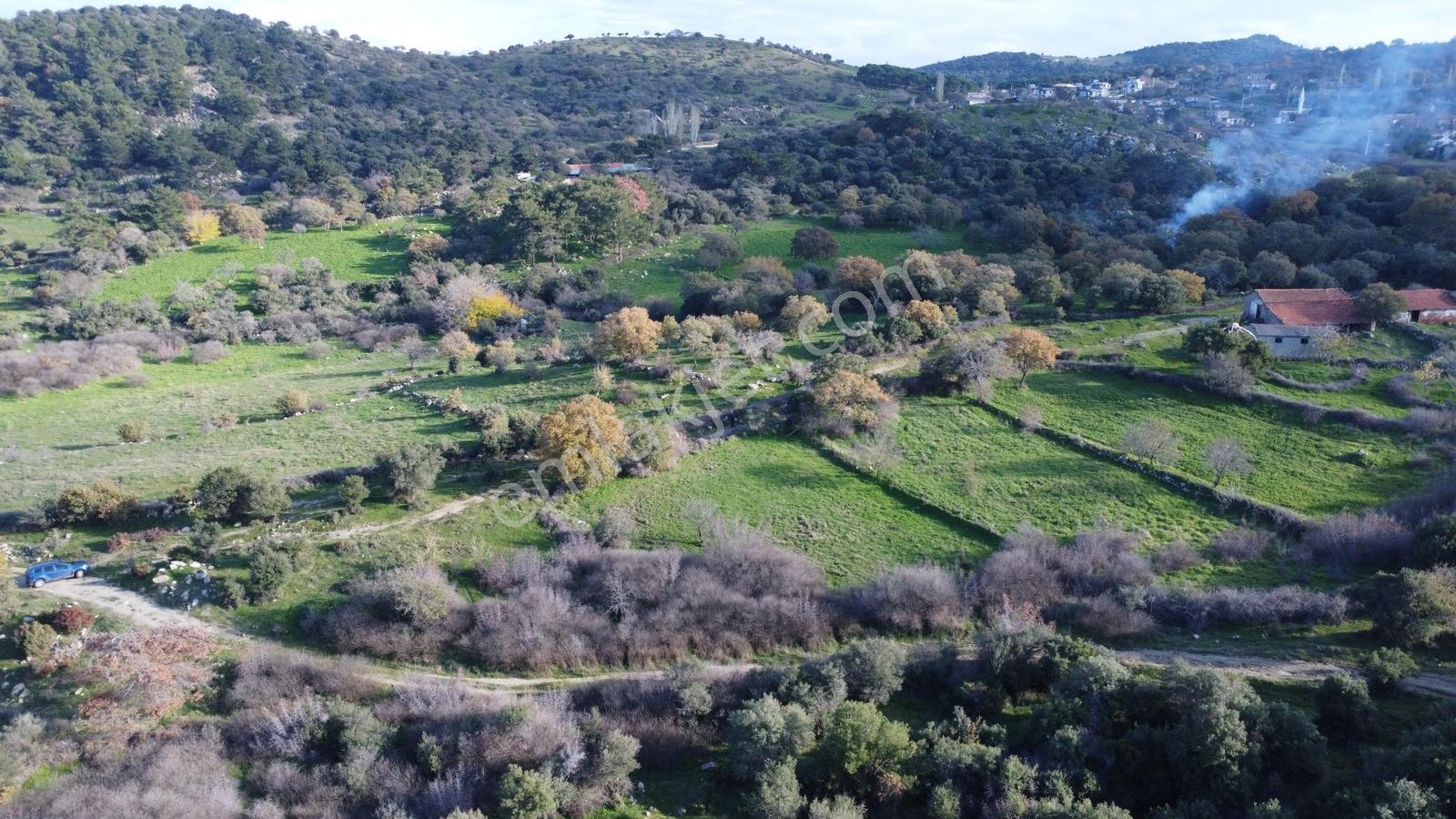 Çanakkale,ezine,yavaşlar Köyünde Satılık Tarla - Görsel 25