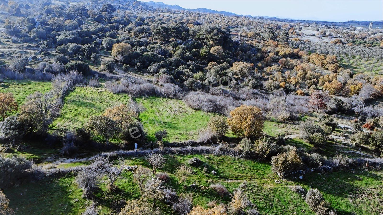 Çanakkale,ezine,yavaşlar Köyünde Satılık Tarla - Görsel 18