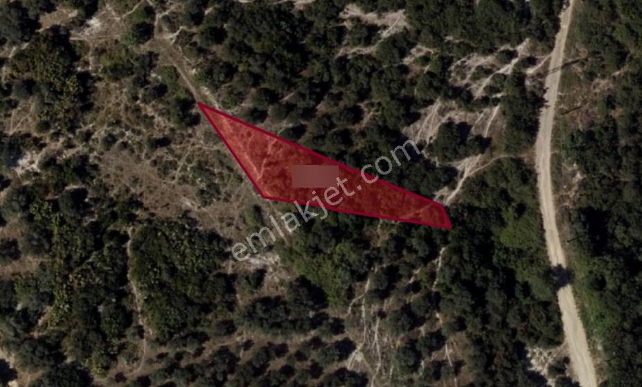 Dilovası Tavşancıl'da Deniz Manzaralı Yatırımlık Arazi