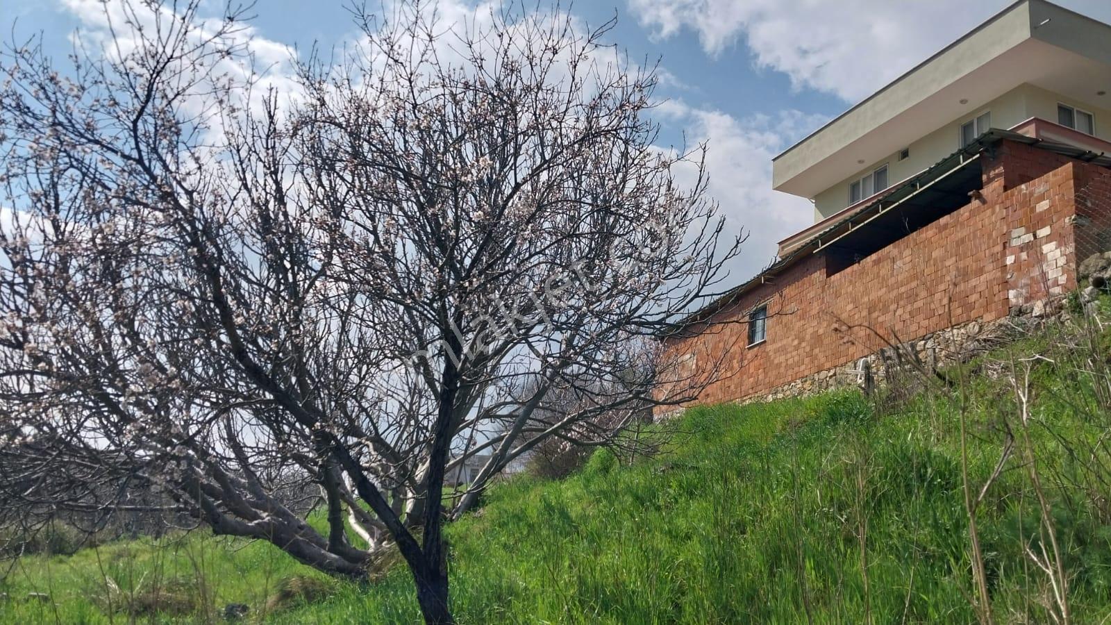 Balıkesir Edremit Yaylaönü Köyü İçinde 1153 M² Satılık Arsa - Görsel 3