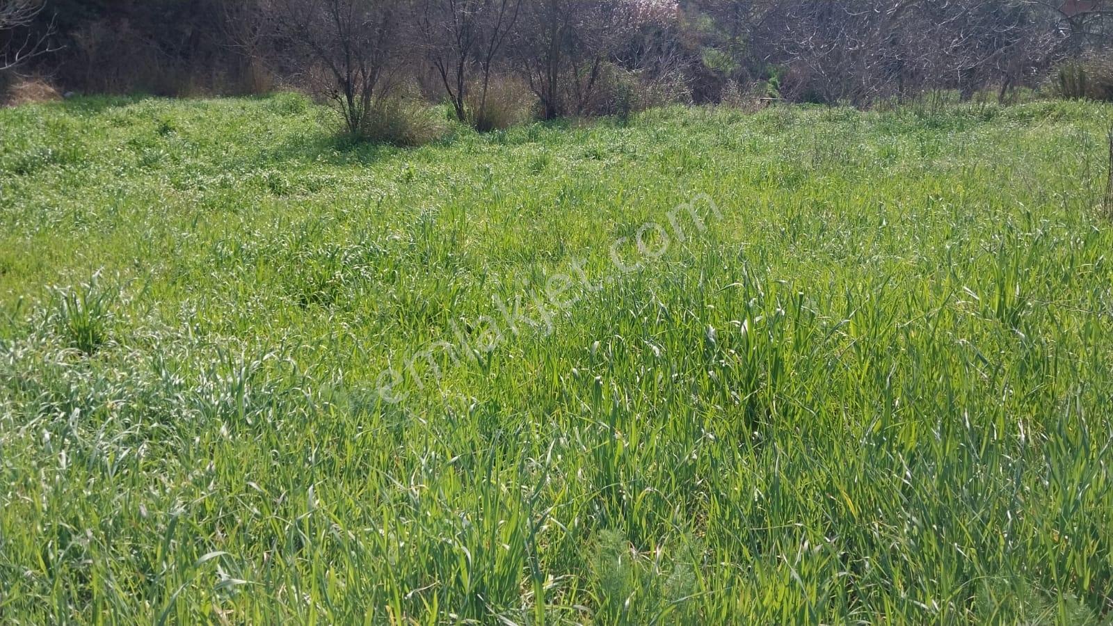 Balıkesir Edremit Yaylaönü Köyü İçinde 1153 M² Satılık Arsa - Görsel 16