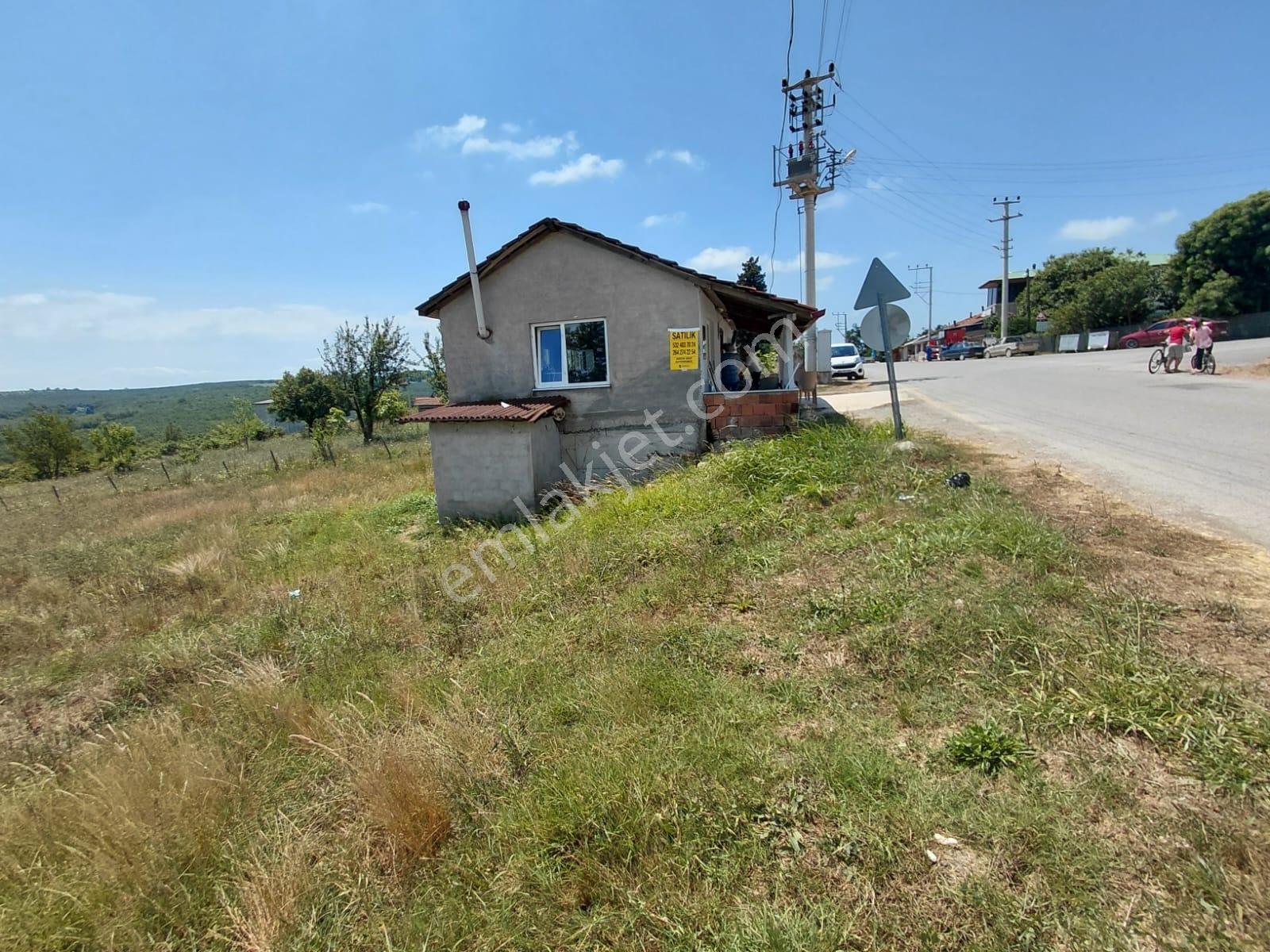 Ceylanderede Asfalt Kenarı Fındık Bahçesi Ve Müstakil Ev - Görsel 25