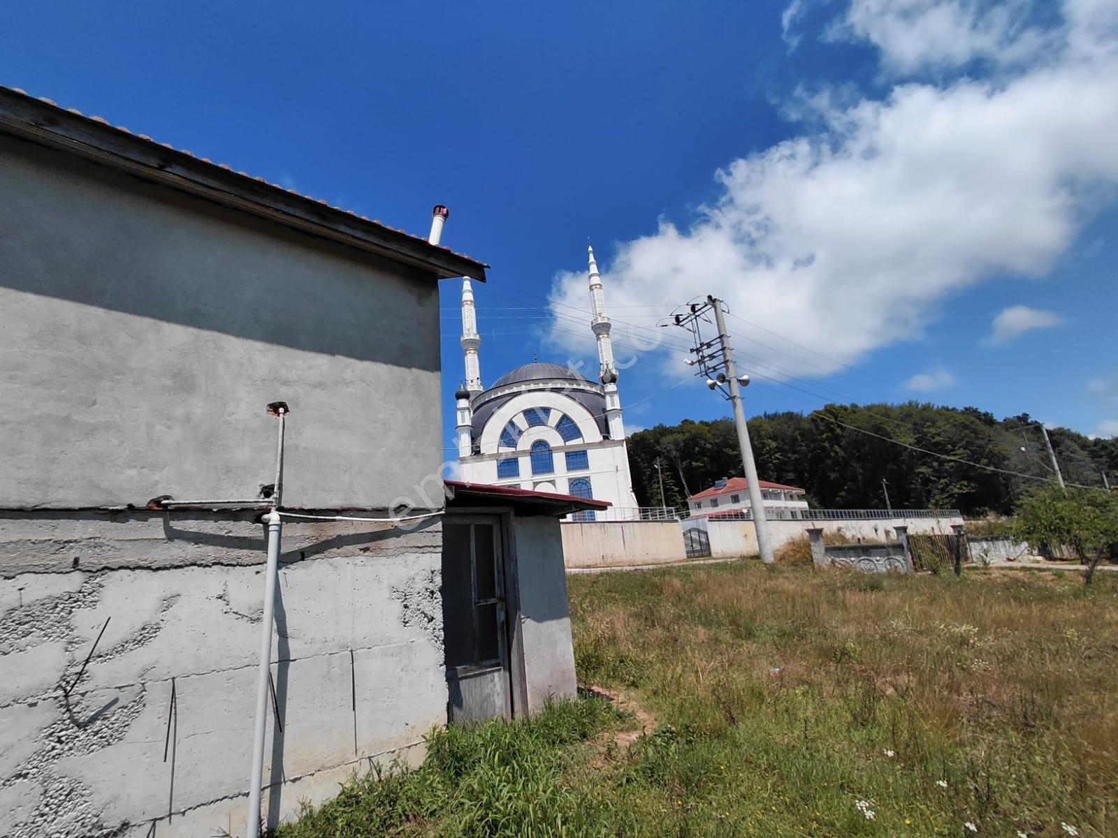 Ceylanderede Asfalt Kenarı Fındık Bahçesi Ve Müstakil Ev - Görsel 19