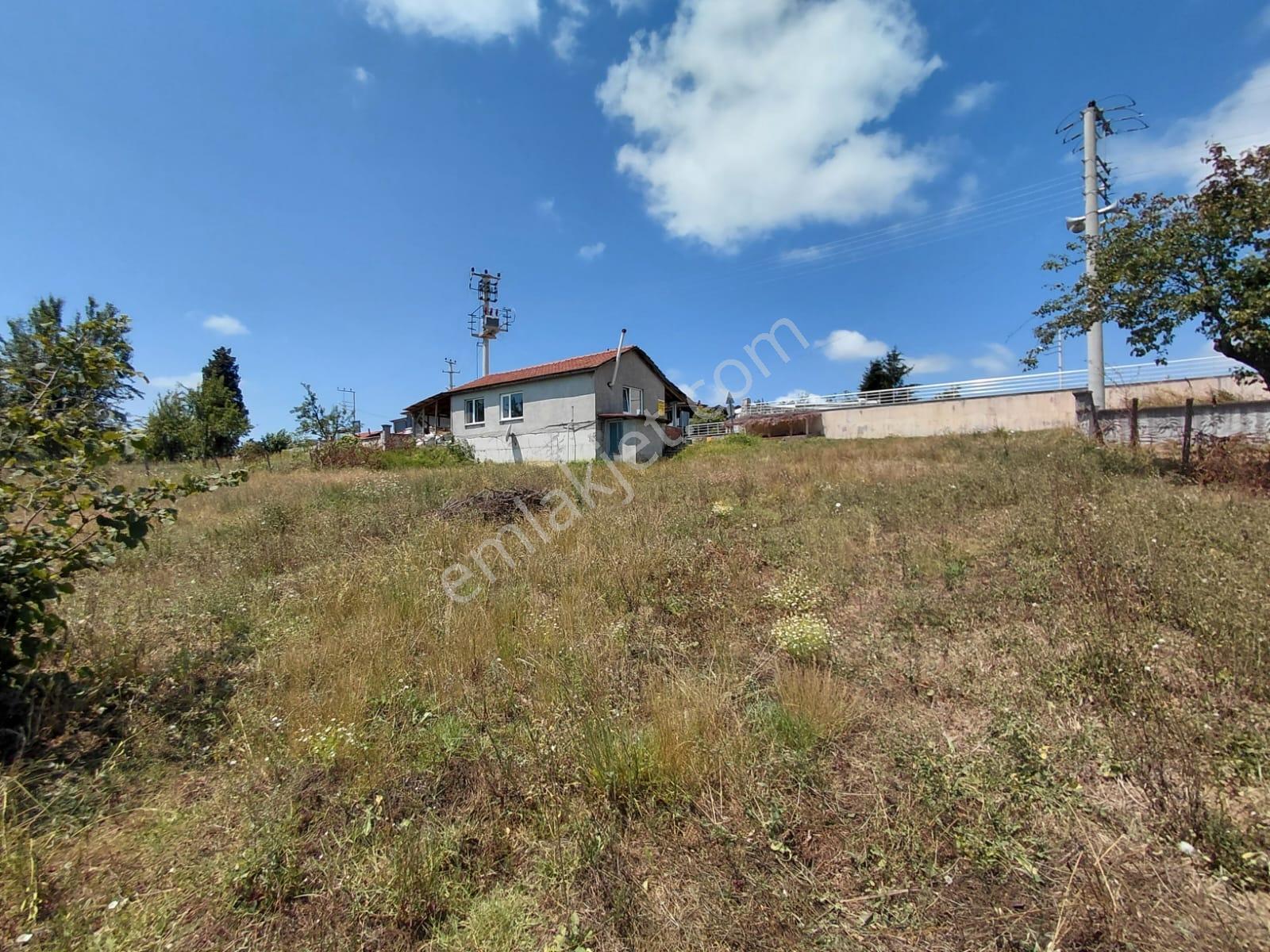 Ceylanderede Asfalt Kenarı Fındık Bahçesi Ve Müstakil Ev - Görsel 15