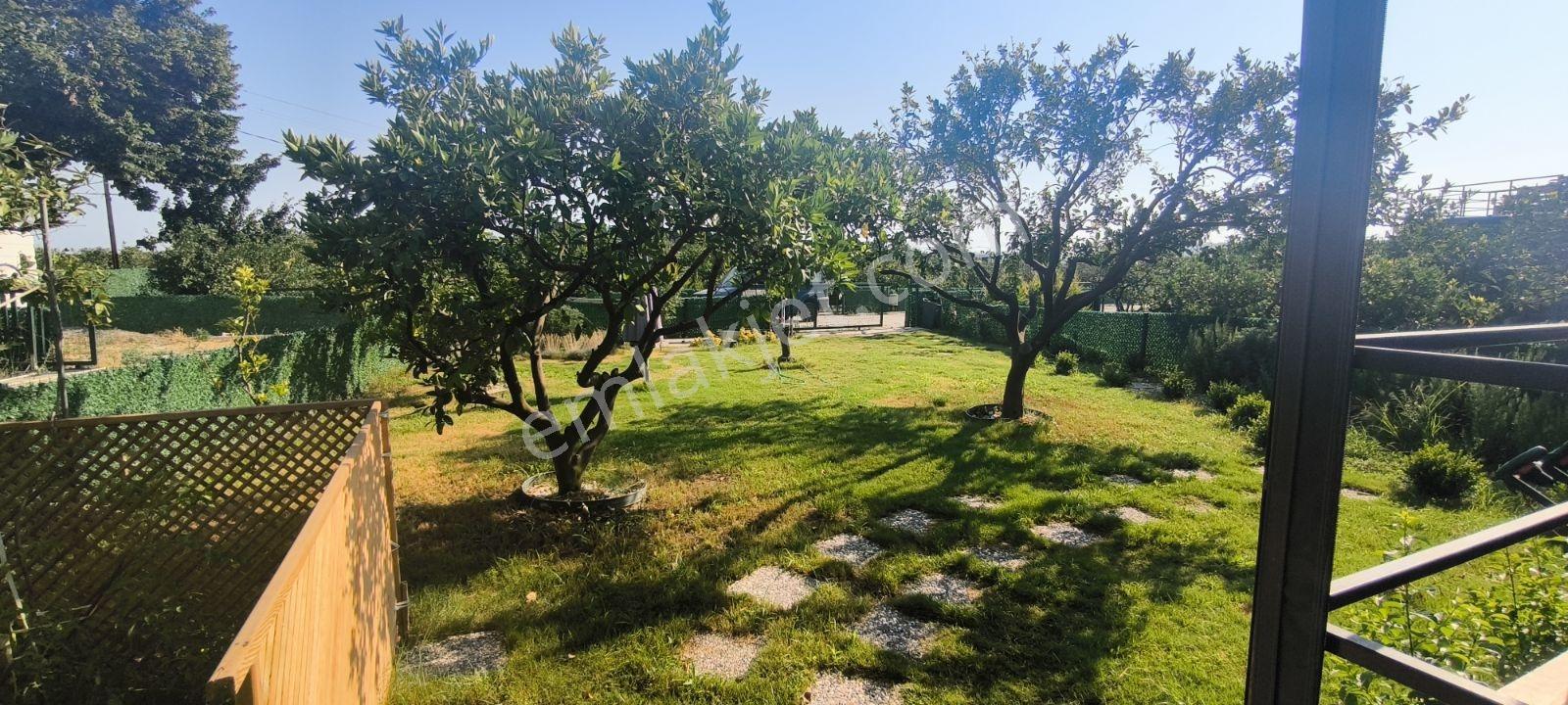 Sığacık'ta 250m2 Arsa İçinde Müstakil Eşyalı Kiralık Tinyhouse