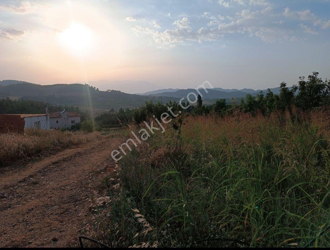 Nova'dan Güney'de 12000 M2 Tarla - Görsel 8
