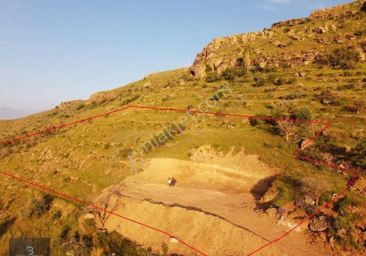 Satılık Bağ - Görsel 3