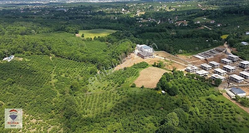 Akyazı Bıçkıderede 5.754 M² Yolu Açılmış, Elektrik-su Mevcut