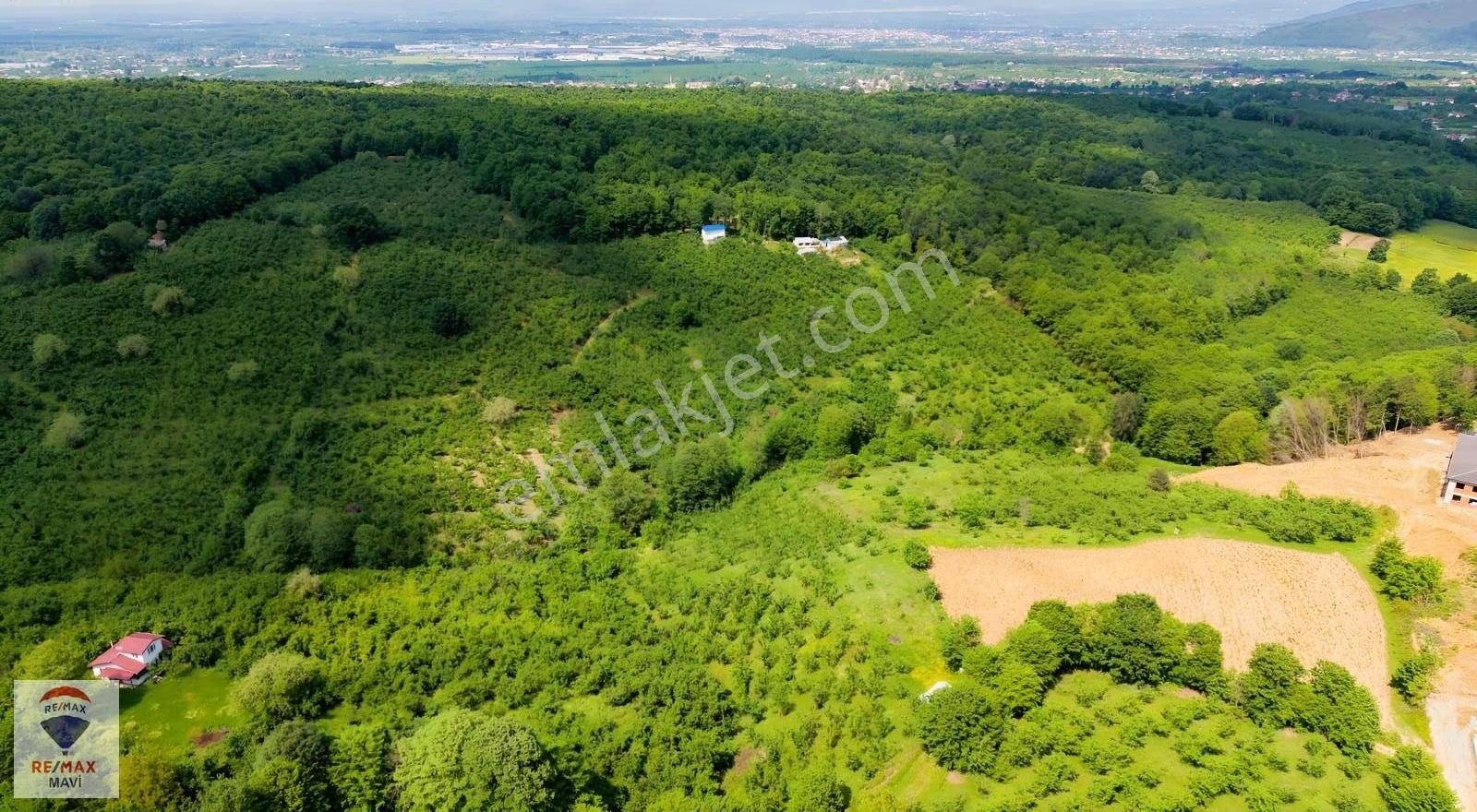 Akyazı Bıçkıderede 5.754 M² Yolu Açılmış, Elektrik-su Mevcut - Görsel 4
