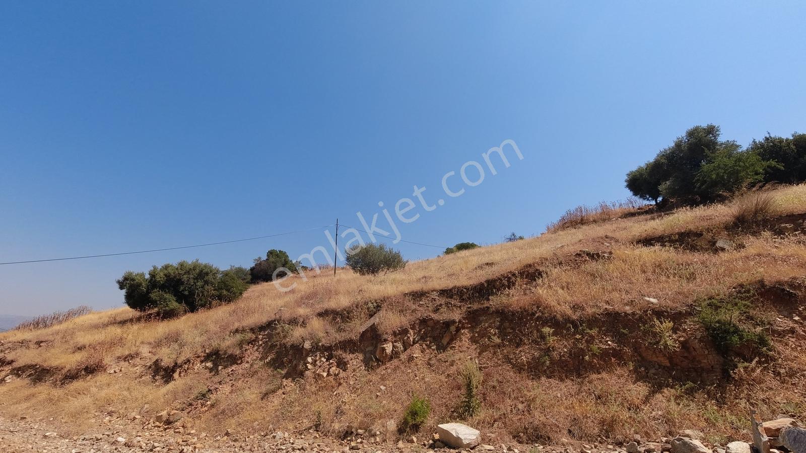 Koçarlı / Gündoğan Mahallesi'nde 256 M2 Villa İmarlı Arsa! - Görsel 5