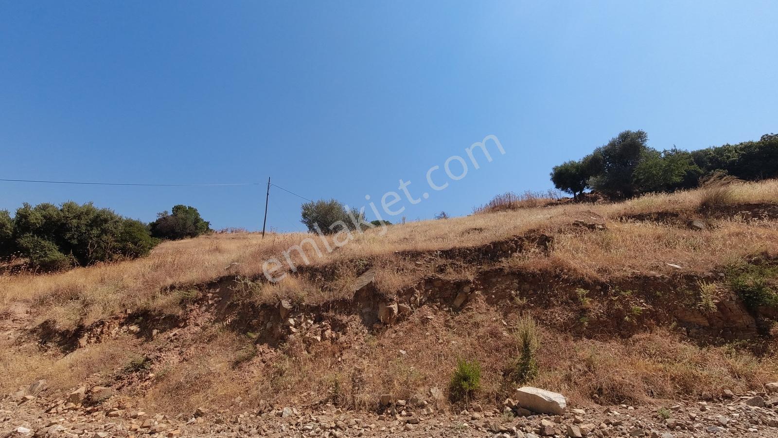 Koçarlı / Gündoğan Mahallesi'nde 256 M2 Villa İmarlı Arsa! - Görsel 4