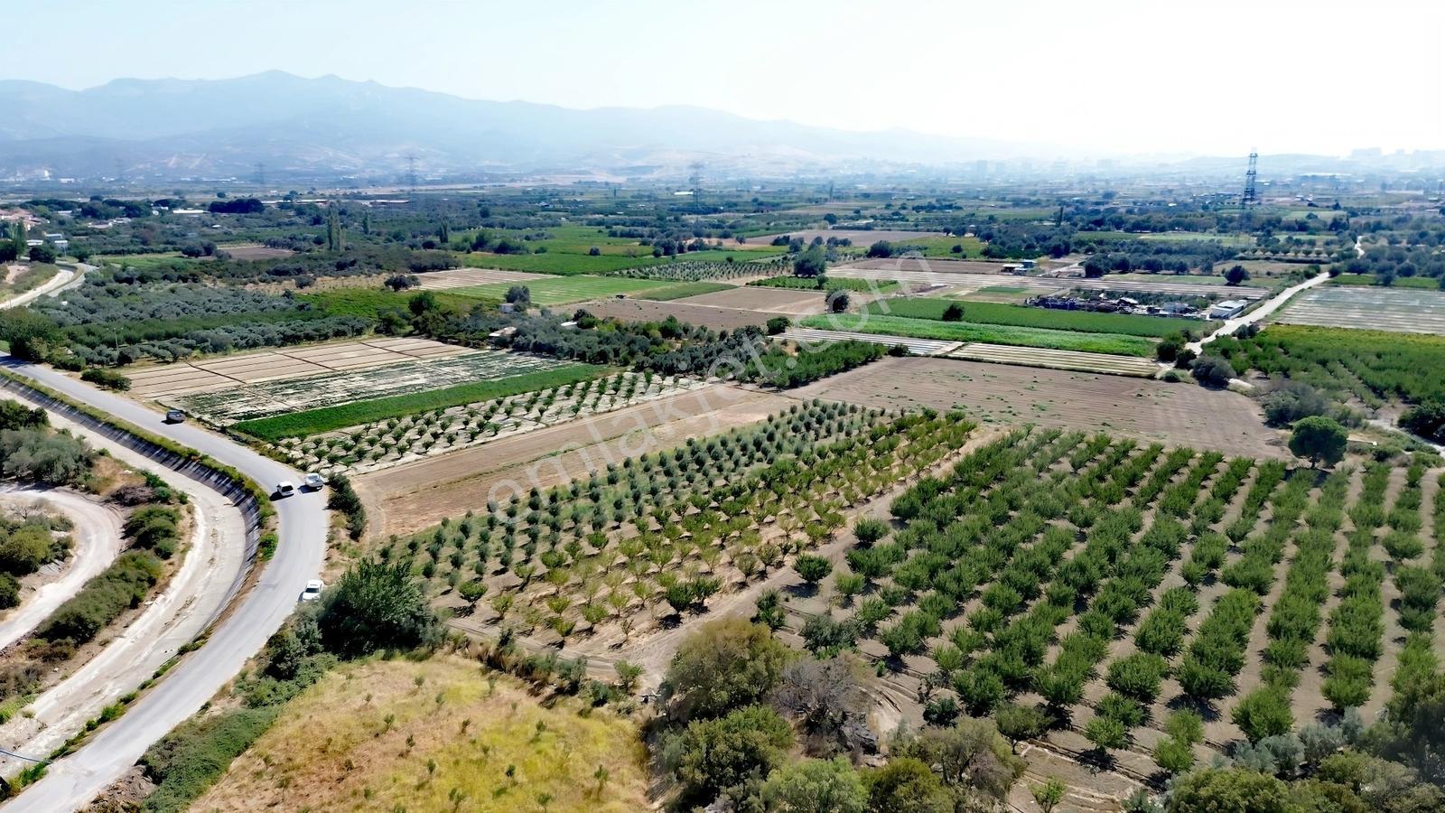 Doğaköy'de Satılık 2946m2 Kayısı Bahçesi Anayola Cepheli - Görsel 19