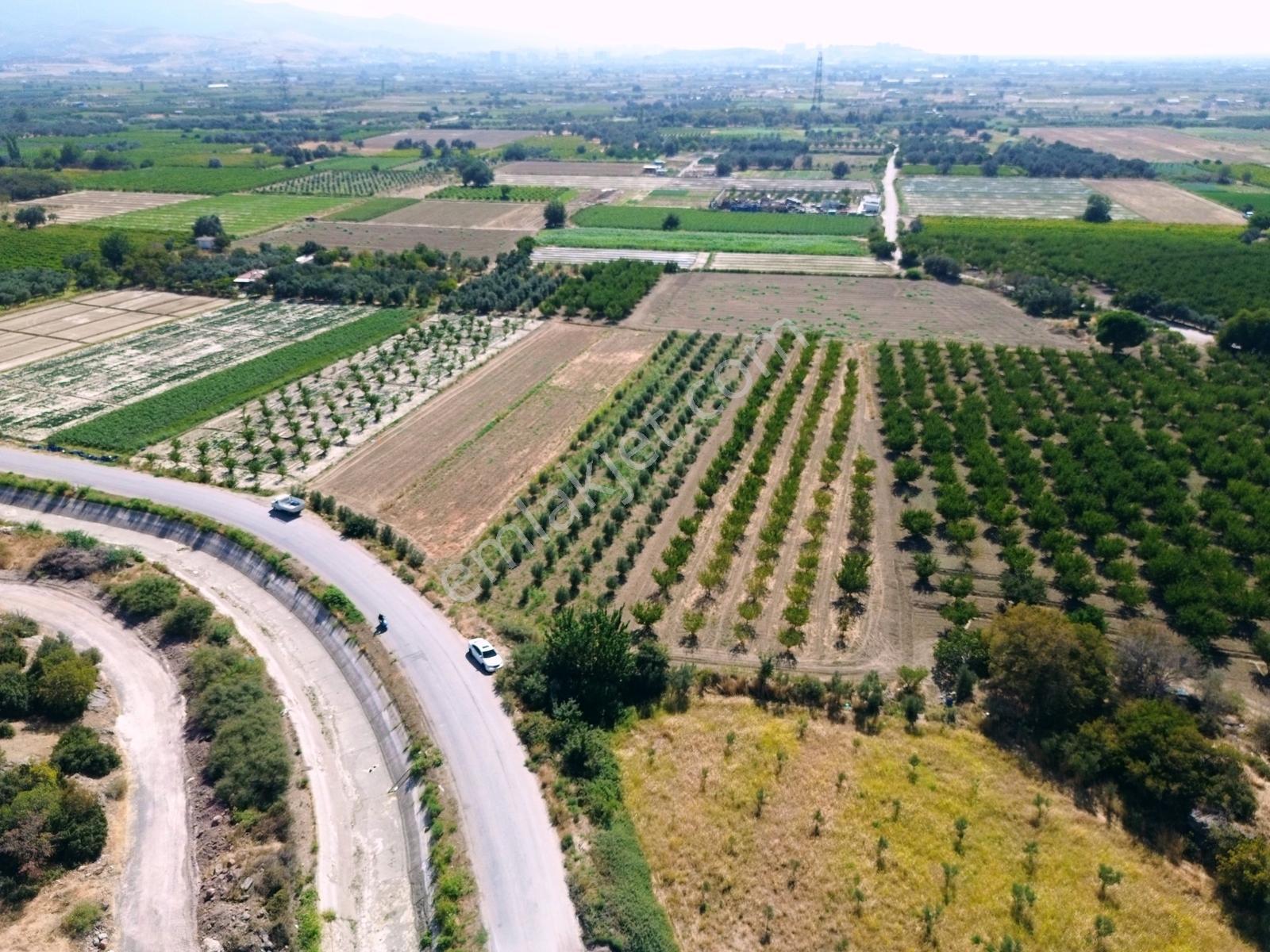 Doğaköy'de Satılık 2946m2 Kayısı Bahçesi Anayola Cepheli - Görsel 28