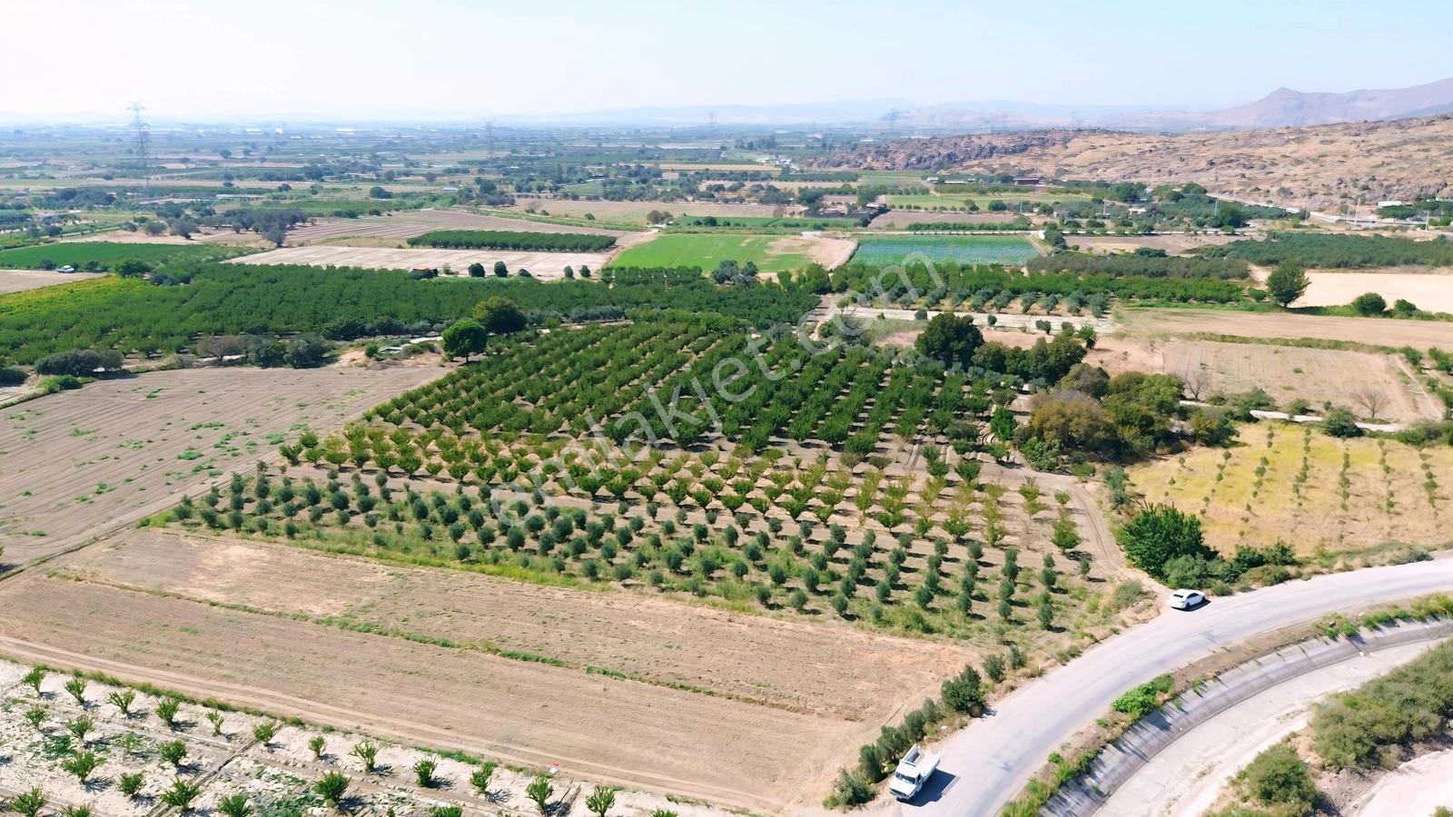 Doğaköy'de Satılık 2946m2 Kayısı Bahçesi Anayola Cepheli - Görsel 10