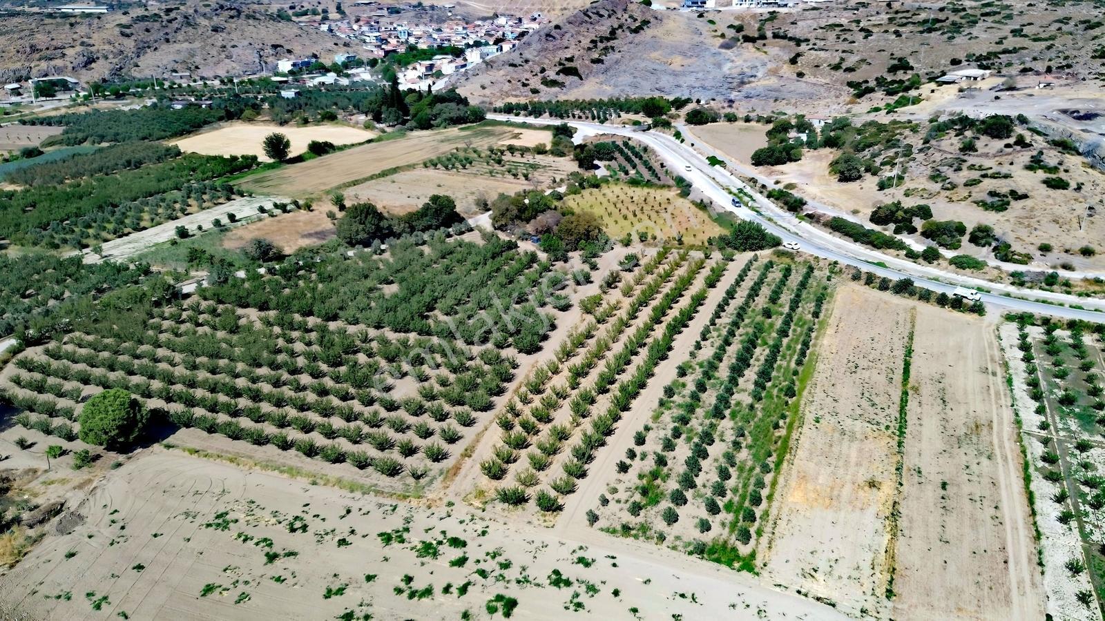 Doğaköy'de Satılık 2946m2 Kayısı Bahçesi Anayola Cepheli - Görsel 26